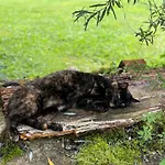 Hallstatt Feeling - - Self Check-in 巴德哥依斯恩