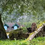 Hallstatt Feeling - - Self Check-in 巴德哥依斯恩