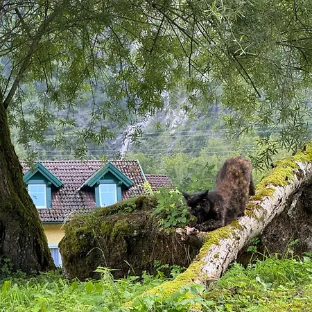 Hallstatt Feeling - - Self Check-in 巴德哥依斯恩